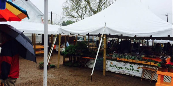 opening day at the matthews farmer's market