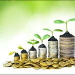 plants and coins showing growth