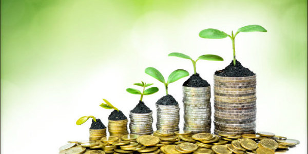 plants and coins showing growth