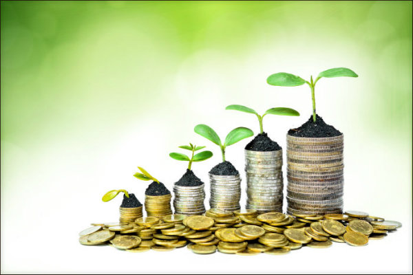 plants and coins showing growth